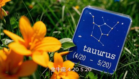 金牛座 (4/20–5/20)事業：團隊合作順利，可爭取帶領小組專案；但避免過度保守，適度嘗試新方法。 財運：穩健收入穩定，適合檢查年度預算並為節慶開銷預留資金。 感情：家庭聚會增多，享受溫馨氛圍；單身者透過親友介紹機率高。 健康：腸胃易受季節變化影響，飲食宜清淡並補充益生菌。