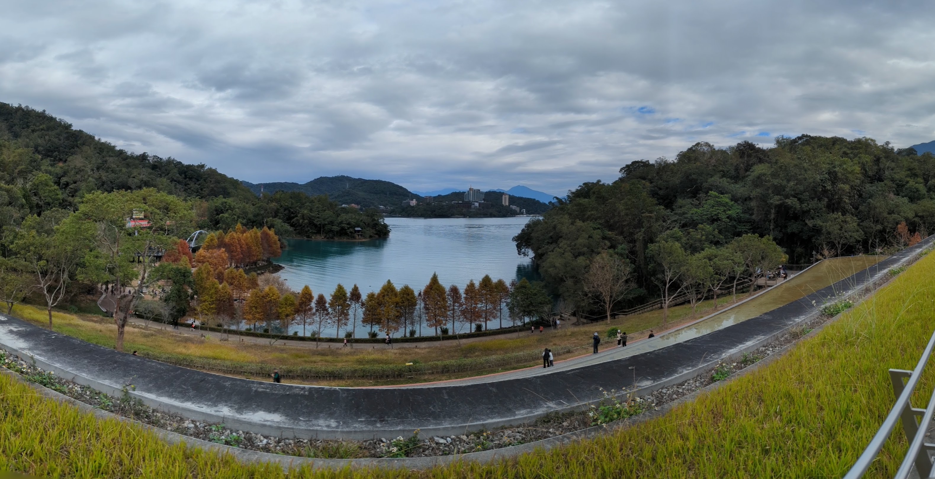 旅游手札-落羽松的季節,秋的浪漫詩篇