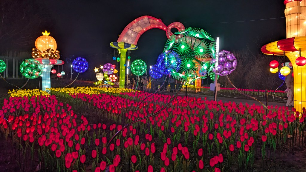 PXL 20260217 121240146 4 雲南普洱茶-阿布古茶坊 雲南西雙版納的勐海縣雲南普洱茶生茶熟茶功效作用puer https://abu-tea.com/wp-content/uploads/2025/08/cropped-logo1.webp https://abu-tea.com/author/love520shop/page/2/